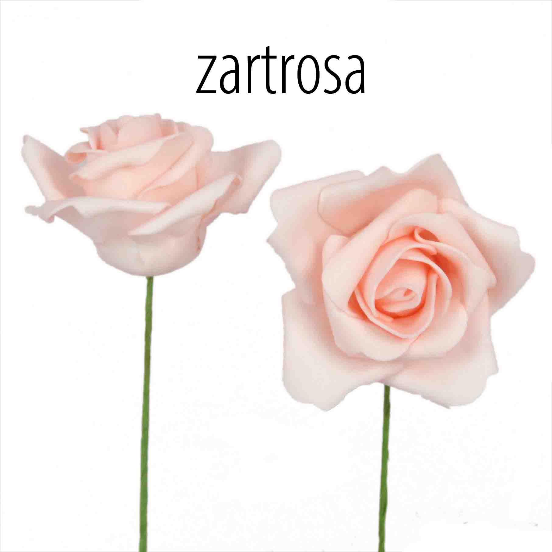 Foam-Rose Clara 5cm zartrosa