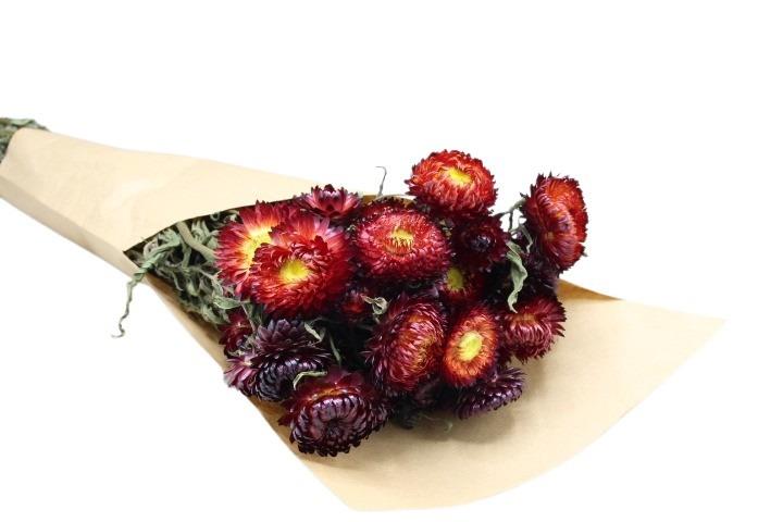 Helichrysum natur-rot 85gr.