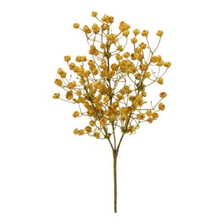 Gypsophila Dry look gelb L43cm