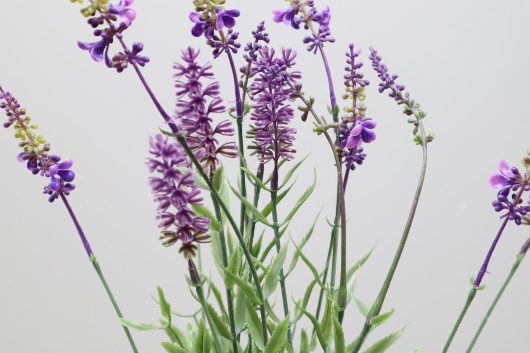 Lavendel im Topf lila-grün H48cm