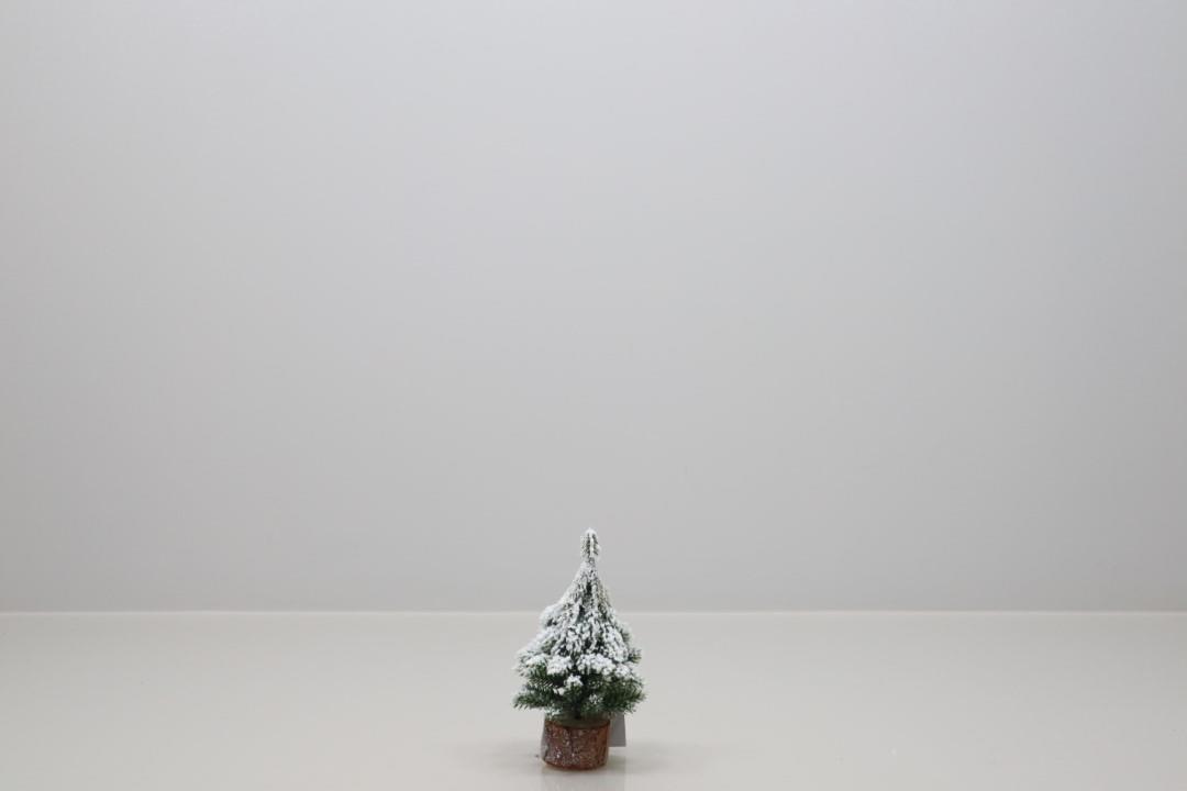 Tannenbaum auf Holz beflockt Kunststoff grün/weiß H15cm