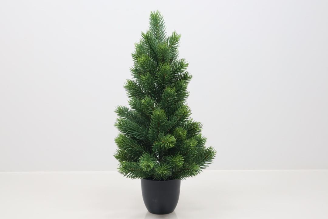 Tannenbaum im Topf grün H50cm