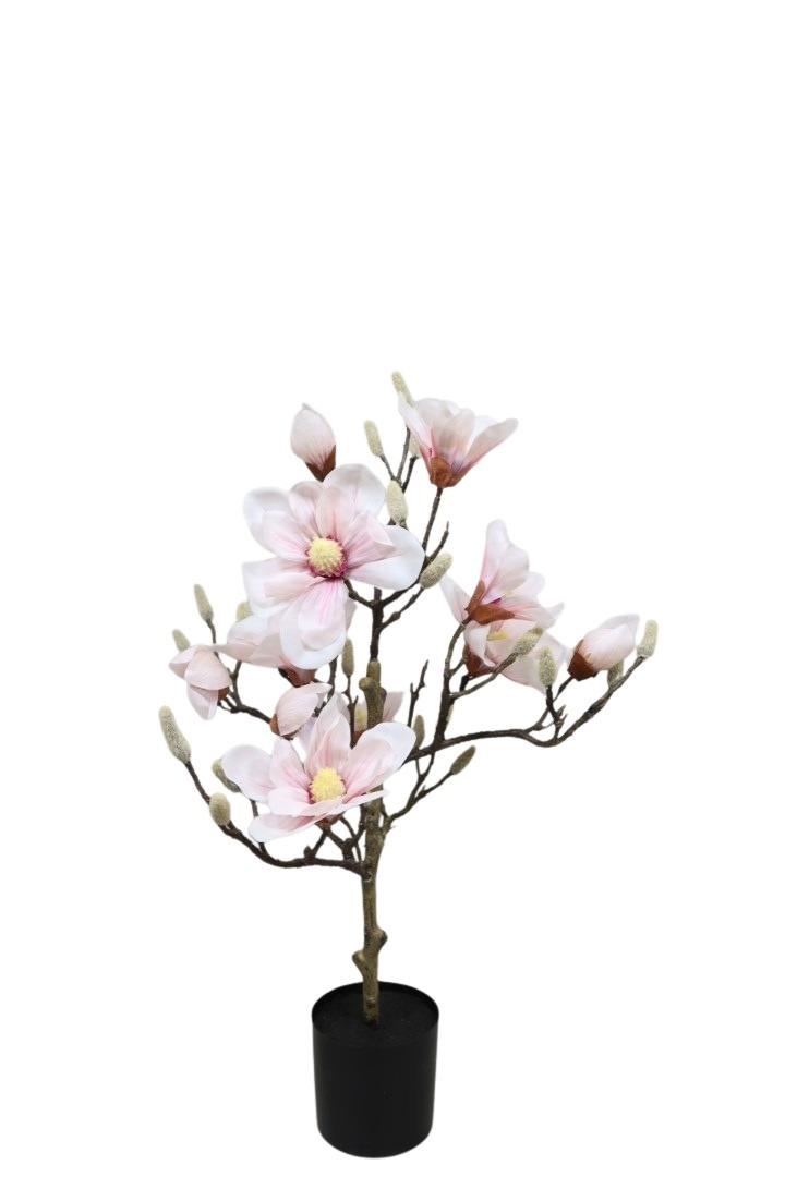 Magnolienbaum rosa 45x35xH70cm