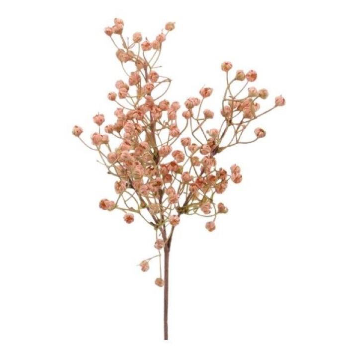 Gypsophila Dry look mauve L43cm