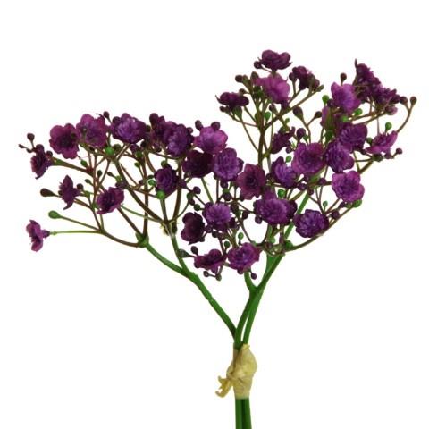 Gypso/Schleierkraut Bündchen 3 Stiele purple H30cm