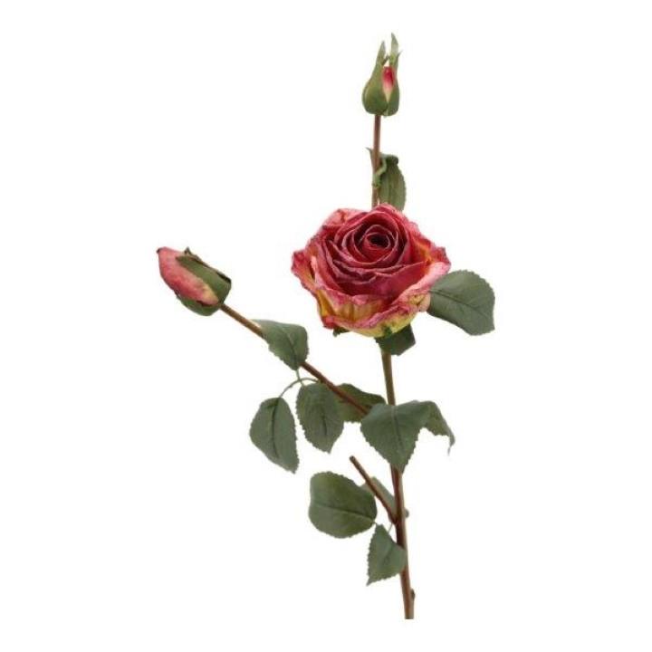 Rosenblüte m. 2 Knospen beauty-rose H64cm