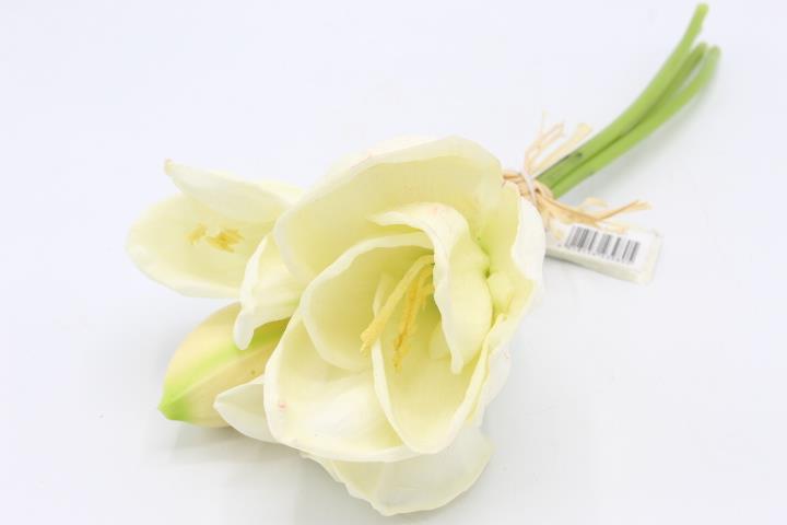 Amaryllis Bund x4  super touch  30 cm weiss-rosa