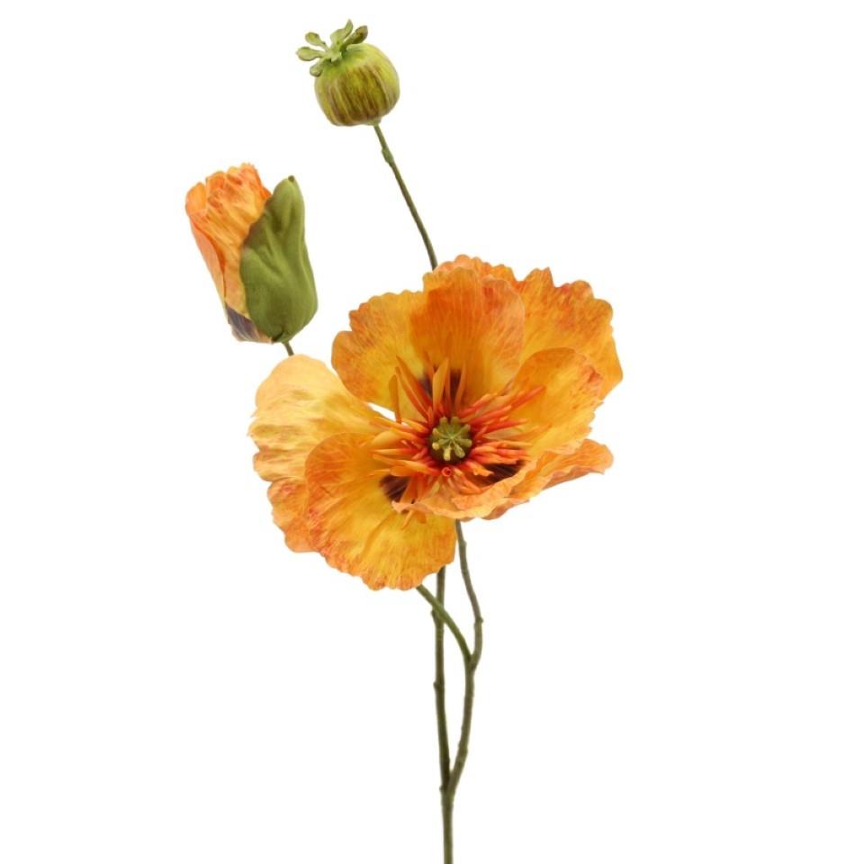 Mohn x 3 orange H58cm