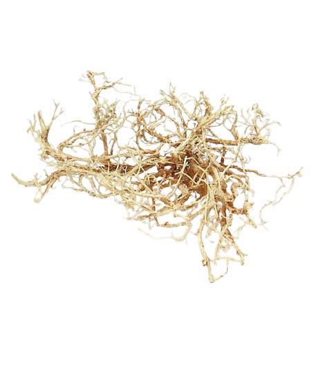 Dry Bush 1kg gebleicht