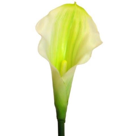 Calla Lilie soft touch creme-grün L55cm