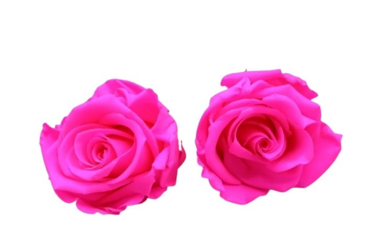 Rose stabilisiert bright pink NETTO